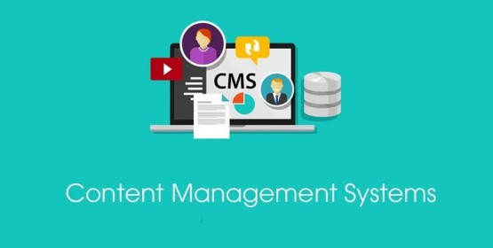 CMS Website: 5 common problems you have to pay attention