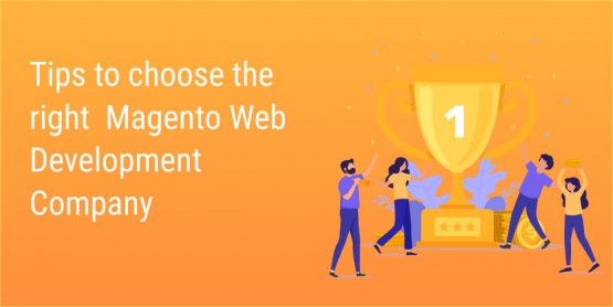 How to choose the excellent Magento Web Development Company in Vietnam