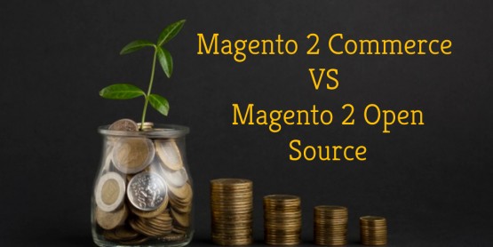 Magento open source vs commerce: Which is the best option for online business