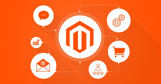 Check Magento version: Effective ways for beginners
