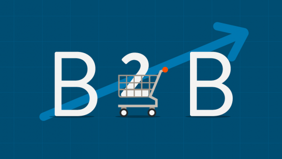 B2B ecommerce platform: How to pick up it and the recommended platforms with comparison