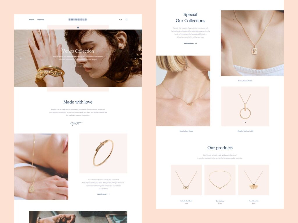 How to build a Jewelry online store