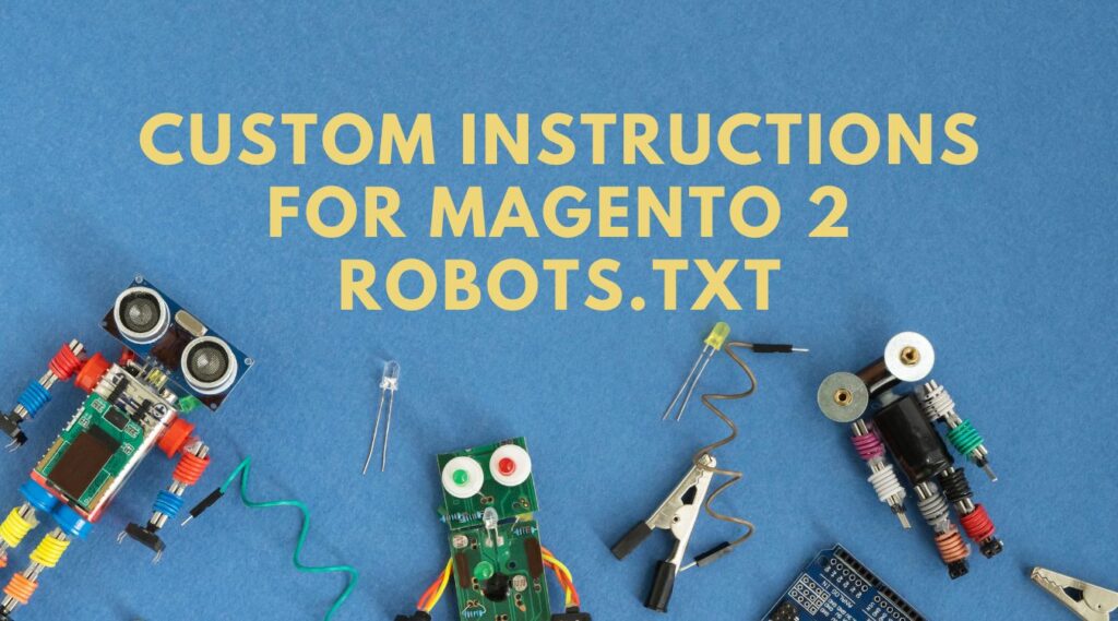 Custom Instructions For Magento 2 Robots.txt